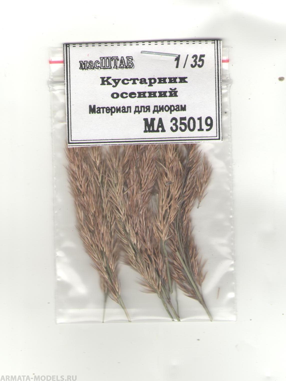 35019 Кустарник осенний