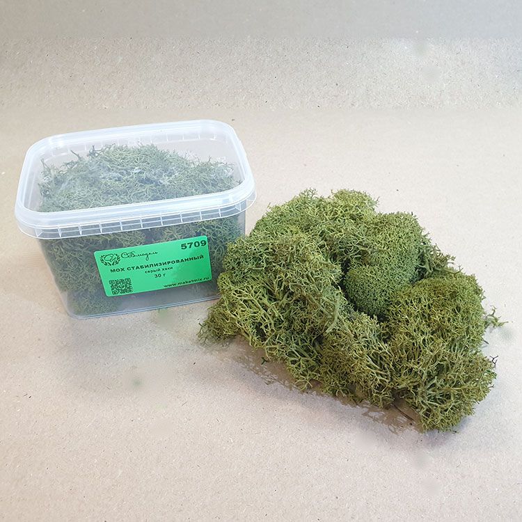 5709 мох стабилизированный - 30 г - серый хаки