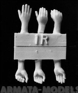 HANDS01 3 right and 3 left hands