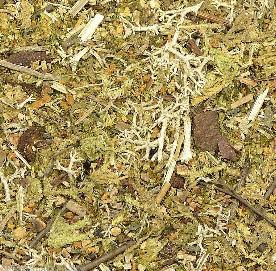 DET01RIS Mossy Forest  - detailed scatter for groundwork, 80ml