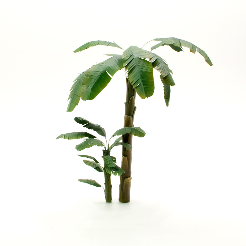 S071MWP Ствол банана, размер XS, 3 шт.