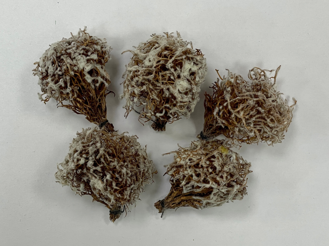 35020/6 Кусты зимние 5шт.