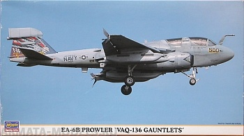 00738 Самолет EA-6B VAQ-136 Gauntlets