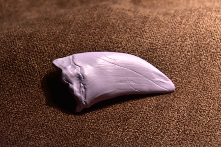 DINO10003 Зуб Горгозавра