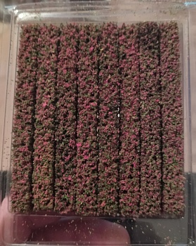 357279 живая игородь с листвой 8 штук