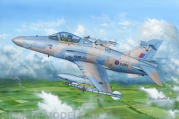 81737  Самолет Hawk  MK.200/208/209 1/48
