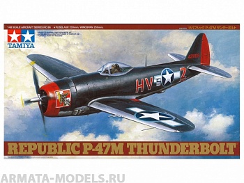 61096T 1/48 P-47M Thunderbolt